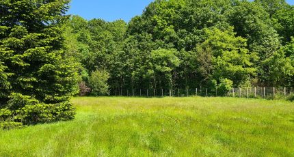 Arbonne-la-Forêt Terrain à bâtir - 1764885-4353annonce1202401135LP0A.jpeg Maisons Open