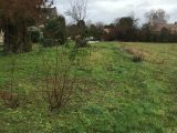  1770797-4353annonce120240120nczdN.jpeg Maisons Open