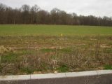  1770816-4353annonce120240120S0vkv.jpeg Maisons Open