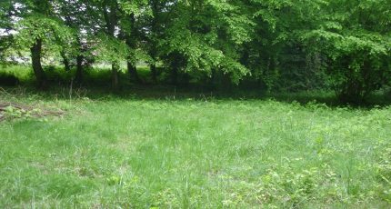 Ballancourt-sur-Essonne Terrain à bâtir - 1770868-4353annonce120240120WIIIL.jpeg Maisons Open