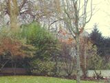  1770887-4353annonce120240120gdCHU.jpeg Maisons Open