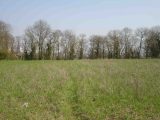  1770893-4353annonce120240120bR8IH.jpeg Maisons Open