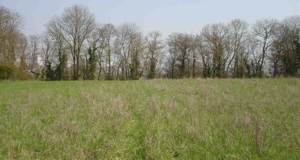 Mareuil-lès-Meaux Terrain à bâtir - 1770893-4353annonce120240120bR8IH.jpeg Maisons Open