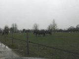  1770929-4353annonce120240120s0MSW.jpeg Maisons Open