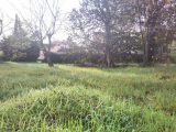  1765584-9270annonce420240220WBELP.jpeg Maisons Open