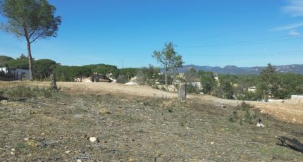 Puget-sur-Argens Terrain à bâtir - 1793631-9270annonce2202402191sm4w.jpeg Maisons Open