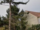  1741637-10545annonce120231205VVasT.jpeg Maisons Open