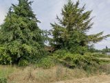  1757988-10545annonce120240105T8y9e.jpeg Maisons Open