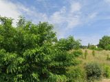  1759279-10545annonce120240108T3Vtw.jpeg Maisons Open