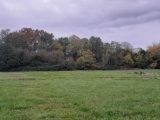  1768983-10545annonce2202401189Sds2.jpeg Maisons Open