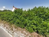  1777425-10545annonce120240130s62R9.jpeg Maisons Open