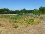  1790476-10545annonce120240214Dh79w.jpeg Maisons Open