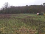  1791080-10545annonce120240215lqV9N.jpeg Maisons Open
