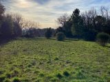  1806461-10122annonce420240307CecOS.jpeg Maisons Open