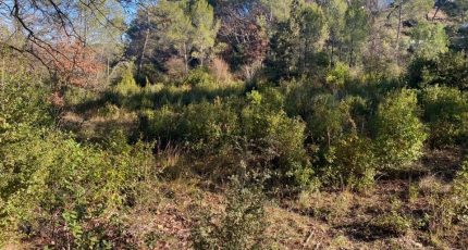 Brignoles Terrain à bâtir - 1807875-10122annonce320240308HV2tx.jpeg Maisons Open