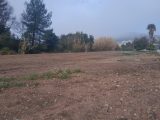  1817209-5922annonce120240319QPQq1.jpeg Maisons Open