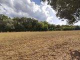 1766517-2970annonce220240116aWIJC.jpeg Maisons Open