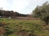  1784252-2970annonce320240207ttz8Q.jpeg Maisons Open