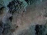  1802873-2970annonce1202403048MzwB.jpeg Maisons Open