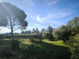  1817112-2970annonce120240319NFRpu.jpeg Maisons Open