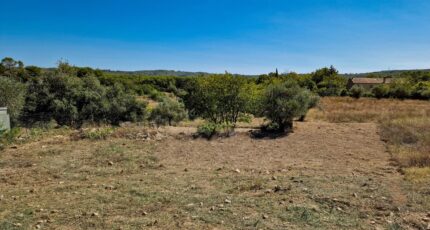 Lorgues Terrain à bâtir - 1735539-4529annonce120231124XgQTP.jpeg Maisons Open