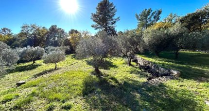 Flayosc Terrain à bâtir - 1739633-4529annonce420231201kNfJo.jpeg Maisons Open