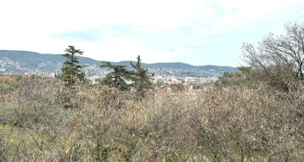 Draguignan Terrain à bâtir - 1761425-4529annonce320240110WTWoL.jpeg Maisons Open