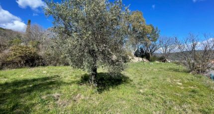Draguignan Terrain à bâtir - 1763214-4529annonce420240112gvGea.jpeg Maisons Open