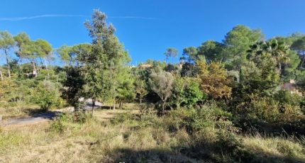 Vidauban Terrain à bâtir - 1766398-3951annonce120240116VPZcs.jpeg Maisons Open