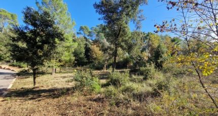 Vidauban Terrain à bâtir - 1766398-3951annonce220240116bx7BC.jpeg Maisons Open