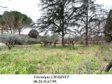  1785165-4529annonce2202402079A4Cy.jpeg Maisons Open