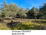  1800955-4529annonce2202402282qWty.jpeg Maisons Open