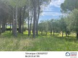  1804573-4529annonce420240305hNG18.jpeg Maisons Open