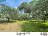  1804703-4529annonce120240305oIH5f.jpeg Maisons Open