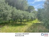  1804703-4529annonce420240305emgXc.jpeg Maisons Open