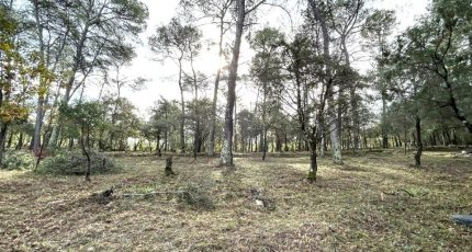 Le Thoronet Terrain à bâtir - 1817289-4529annonce220240319VBb5h.jpeg Maisons Open