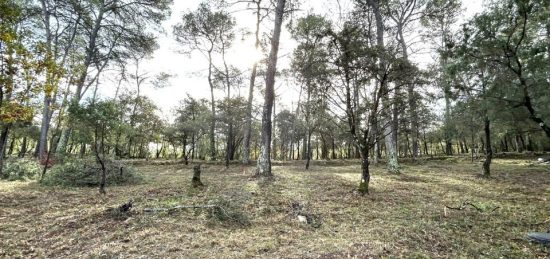 Terrain à bâtir à , Var