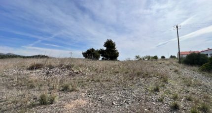 Cases-de-Pène Terrain à bâtir - 1769617-4671annonce120240119bay6O.jpeg Maisons Open