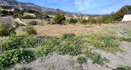 Cases-de-Pène Terrain à bâtir - 1769678-4671annonce120240119TMcMZ.jpeg Maisons Open