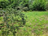  1774288-4671annonce1202401264CVdN.jpeg Maisons Open
