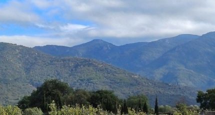 Laroque-des-Albères Terrain à bâtir - 1787297-4671annonce120240209NZubT.jpeg Maisons Open