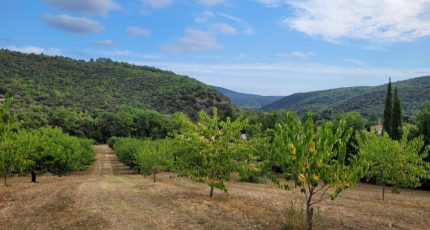 Céret Terrain à bâtir - 1790252-4671annonce120240214aeQDk.jpeg Maisons Open