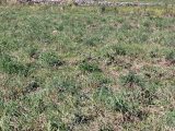  1791933-4671annonce120240216WO0Af.jpeg Maisons Open