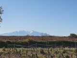 1798381-4671annonce120240226zSIcG.jpeg Maisons Open