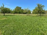  1768613-5312annonce120240118xLUay.jpeg Maisons Open