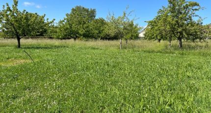Magnanville Terrain à bâtir - 1768613-5312annonce120240118xLUay.jpeg Maisons Open