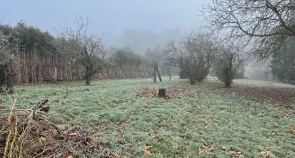 Chaufour-lès-Bonnières Terrain à bâtir - 1768739-5312annonce120240118vCOov.jpeg Maisons Open
