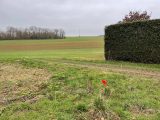 1803505-5312annonce1202403048xe7A.jpeg Maisons Open