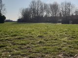  1797750-5507annonce120240224s9nkZ.jpeg Maisons Open