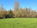  1740733-5804annonce1202312046dUBa.jpeg Maisons Open